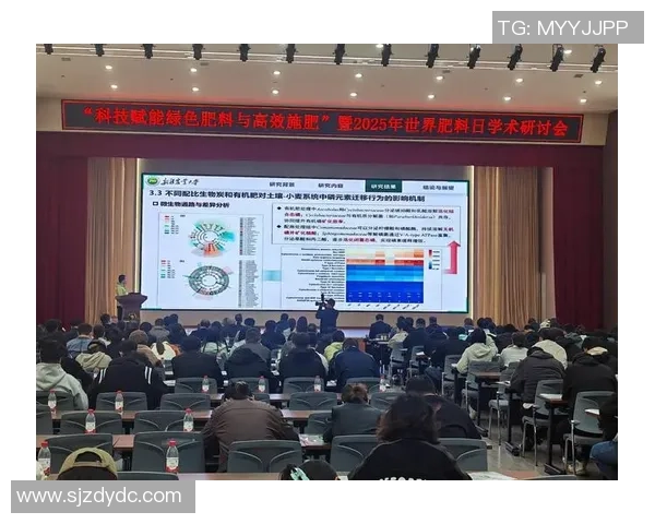 深圳排球队技术分析与战术创新的深度探讨与展望